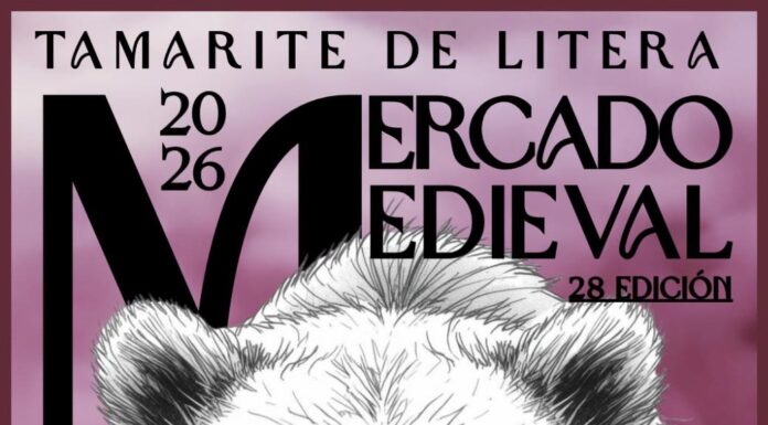 TAMARITE DE LITERA: XXVIII Mercado medieval