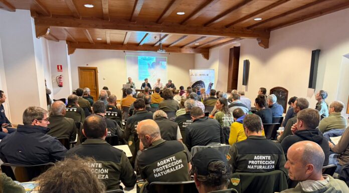 El futuro del urogallo pasa por la gestión del hábitat, el control de la depredación y la disminución de molestias humanas