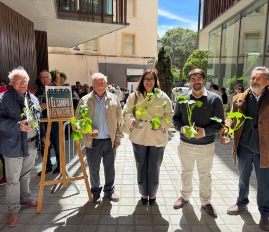 Los vecinos de Binéfar preparan su huerto por San Isidro con 300 plántulas de calabaza y de tomate