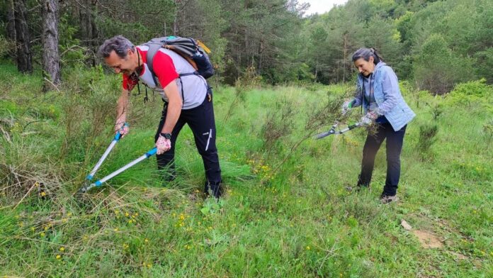 Voluntarios limpiando en el GR 1_