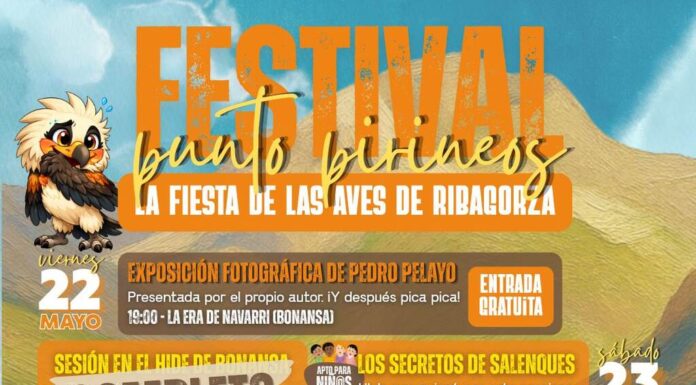MONTANUY/BONANSA: Festival de Aves Punto Pirineos