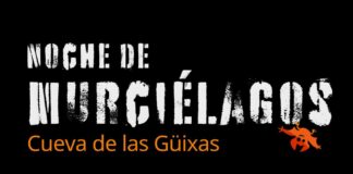 VILLANÚA: Noche de murciélagos