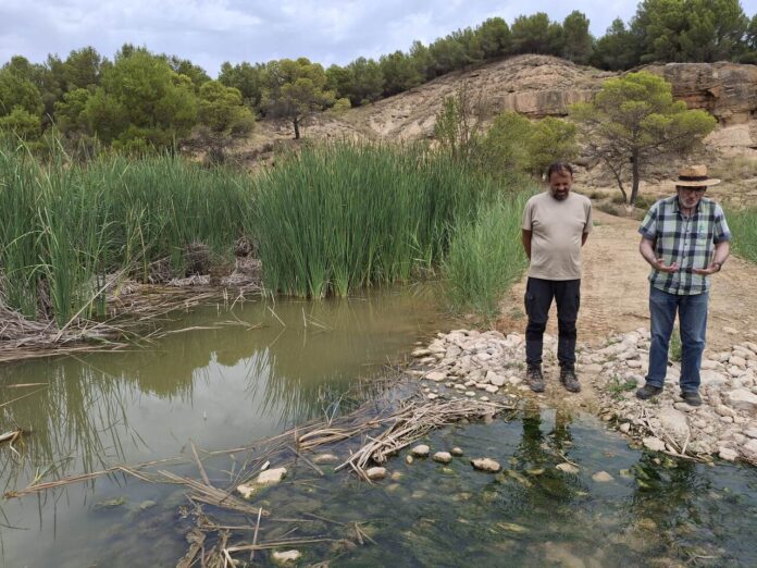 humedales Monegros