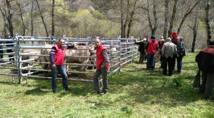 MONTANUY: Feria de la Trobada