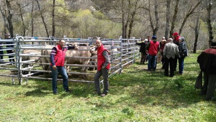 MONTANUY: Feria de la Trobada
