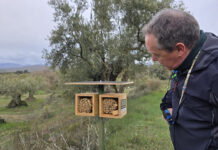 Guara Somontano, finalista en los Tourism Innovation Awards 2026 por su modelo de protección del paisaje