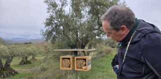 Guara Somontano, finalista en los Tourism Innovation Awards 2026 por su modelo de protección del paisaje